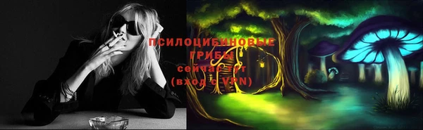 стафф Новодвинск