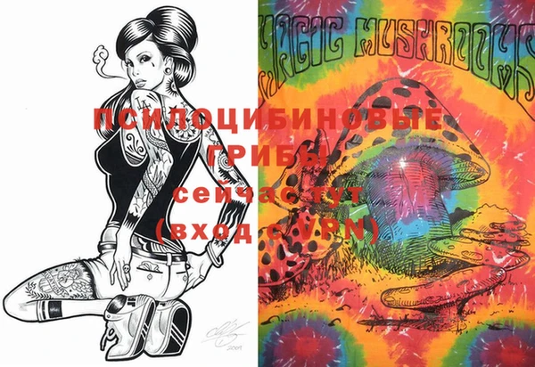 стафф Новодвинск
