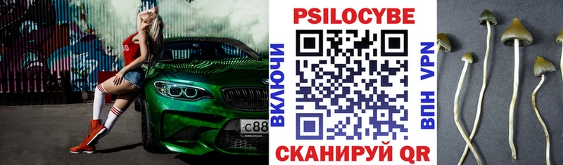 Псилоцибиновые грибы Magic Shrooms  Великий Устюг 