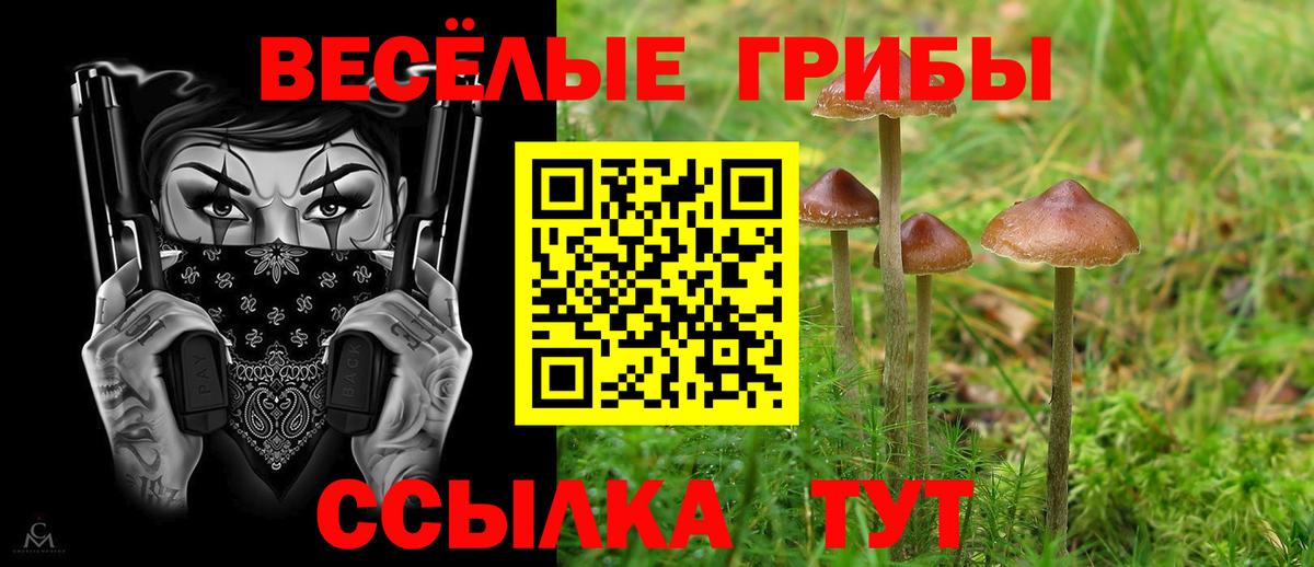 Великий Устюг  Галлюциногенные грибы ЛСД  Вход с VPN 